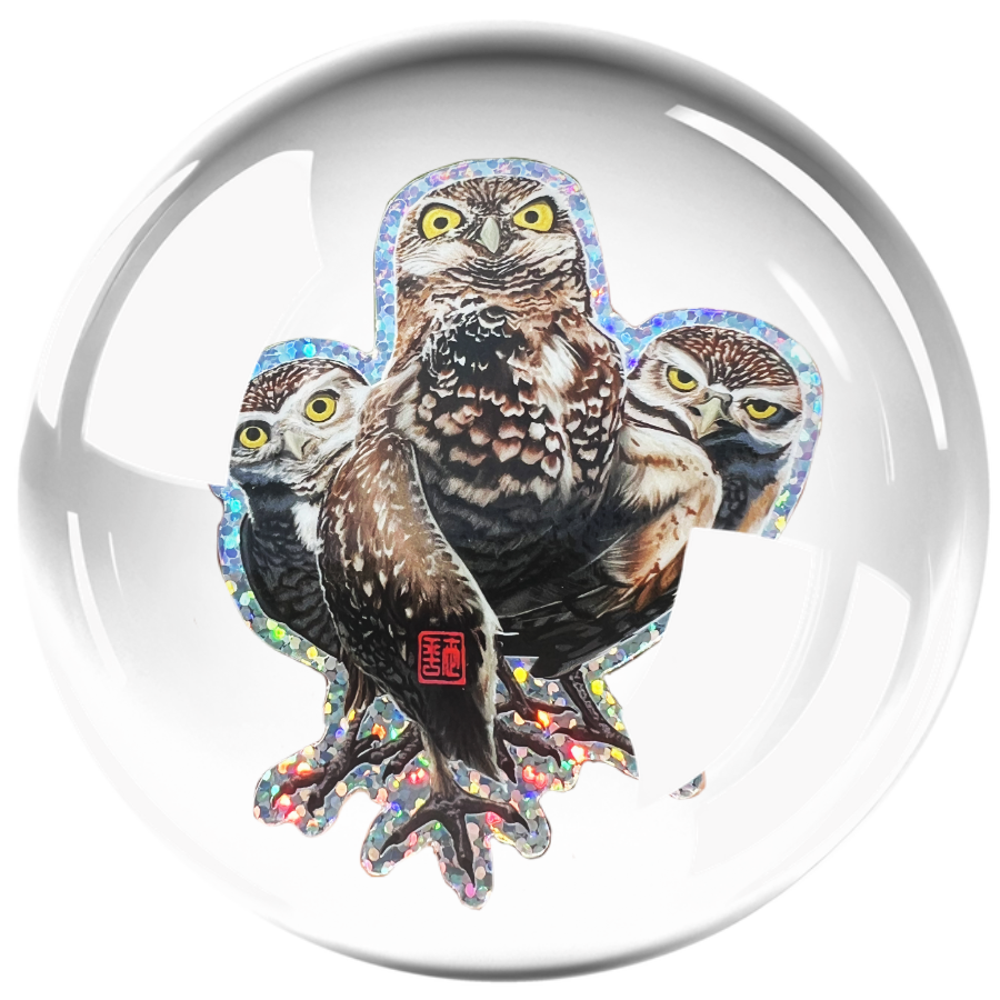 The Guardian Project